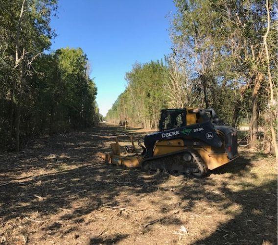 Industrial Land Clearing Services | Stronghold Vegetation Management
