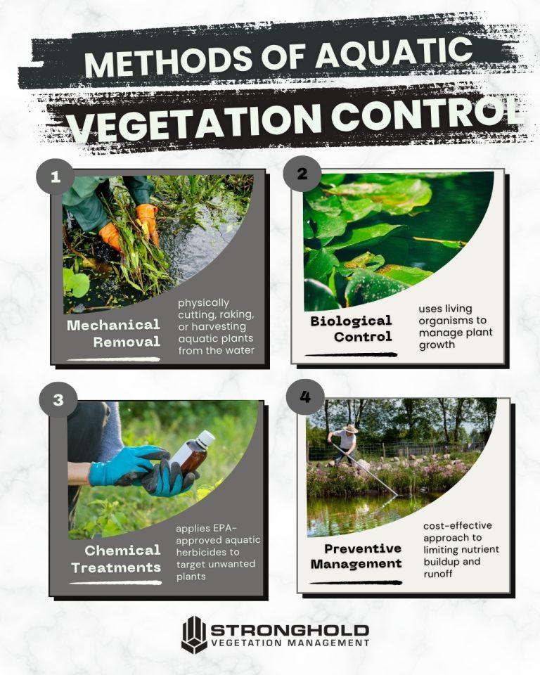 Aquatic Vegetation Control 101 | Stronghold Vegetation Management