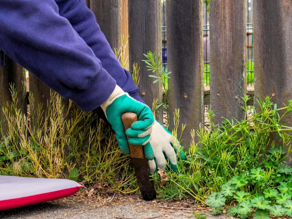Stronghold Vegetation Management 16710 County Rd 569 Rosharon, TX 77583, USA 281 369 0321 fence line vegetation control
