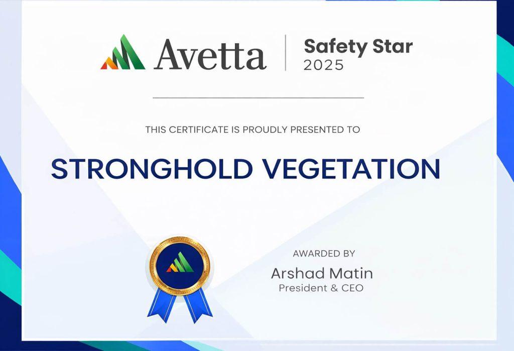 avetta stronghold (1)